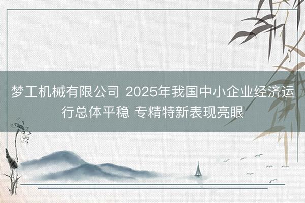 梦工机械有限公司 2025年我国中小企业经济运行总体平稳 专精特新表现亮眼