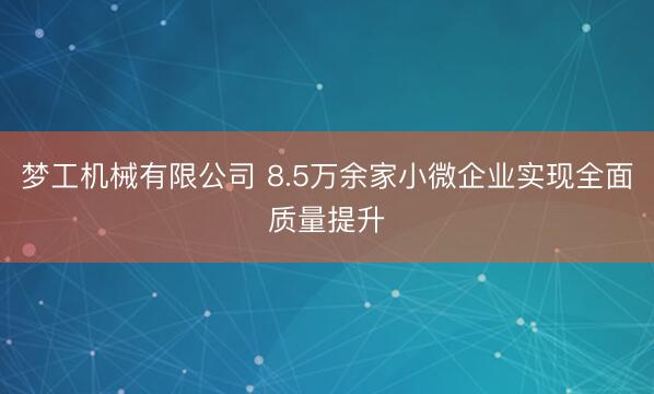 梦工机械有限公司 8.5万余家小微企业实现全面质量提升