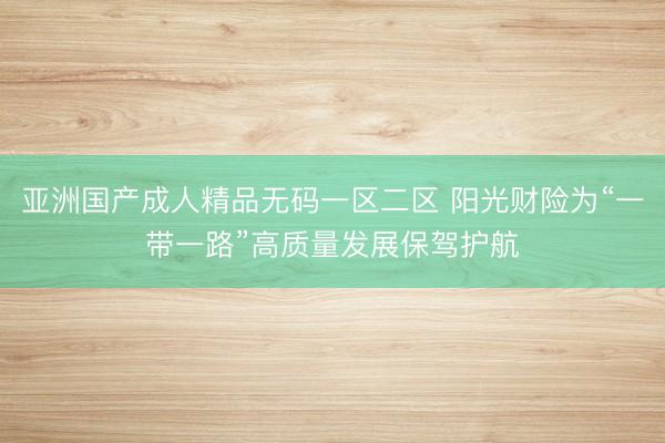亚洲国产成人精品无码一区二区 阳光财险为“一带一路”高质量发展保驾护航