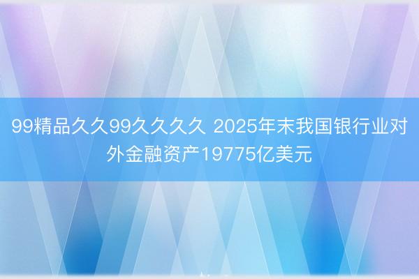 99精品久久99久久久久 2025年末我国银行业对外金融资产19775亿美元