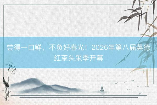 尝得一口鲜，不负好春光！2026年第八届英德红茶头采季开幕