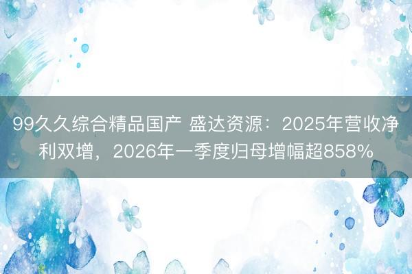 99久久综合精品国产 盛达资源：2025年营收净利双增，2026年一季度归母增幅超858%
