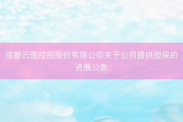 成都云图控股股份有限公司关于公司提供担保的进展公告