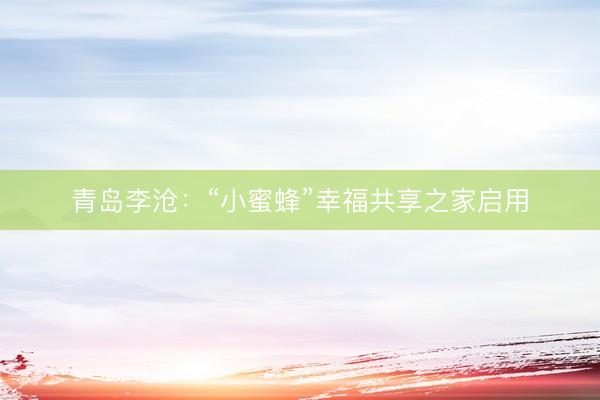 青岛李沧：“小蜜蜂”幸福共享之家启用