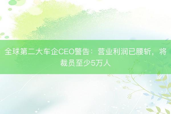 全球第二大车企CEO警告：营业利润已腰斩，将裁员至少5万人