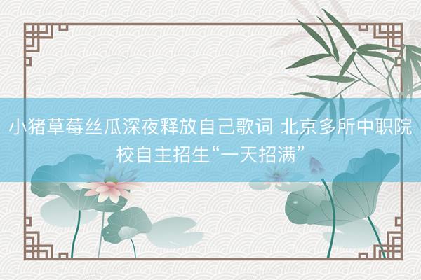 小猪草莓丝瓜深夜释放自己歌词 北京多所中职院校自主招生“一天招满”