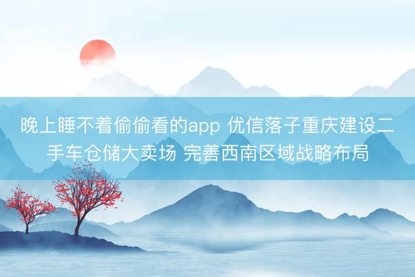 晚上睡不着偷偷看的app 优信落子重庆建设二手车仓储大卖场 完善西南区域战略布局