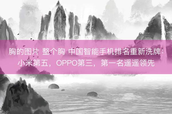 胸的图片 整个胸 中国智能手机排名重新洗牌：小米第五，OPPO第三，第一名遥遥领先