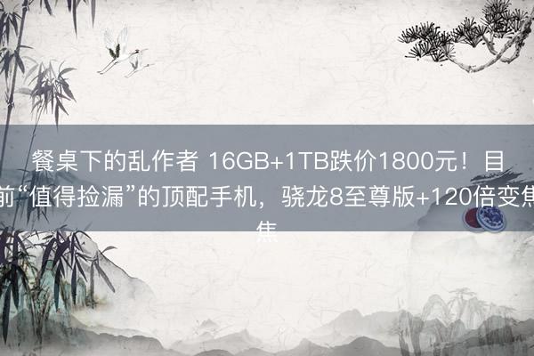 餐桌下的乱作者 16GB+1TB跌价1800元！目前“值得捡漏”的顶配手机，骁龙8至尊版+120倍变焦