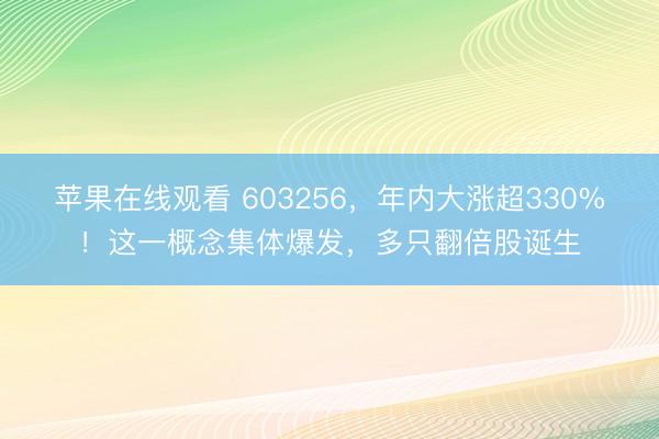苹果在线观看 603256，年内大涨超330%！这一概念集体爆发，多只翻倍股诞生