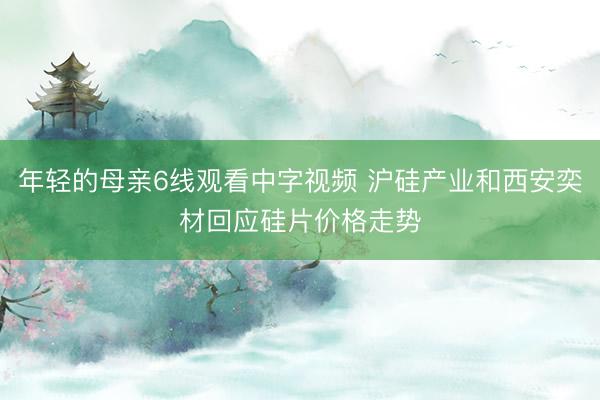 年轻的母亲6线观看中字视频 沪硅产业和西安奕材回应硅片价格走势