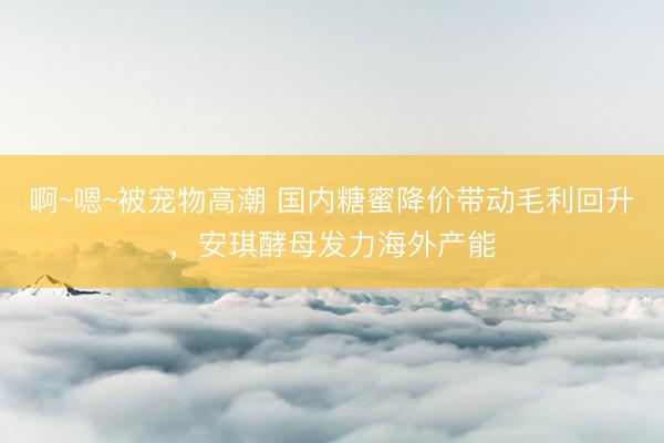 啊~嗯~被宠物高潮 国内糖蜜降价带动毛利回升，安琪酵母发力海外产能