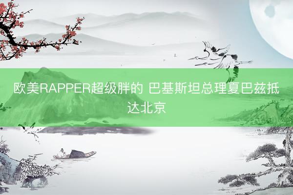 欧美RAPPER超级胖的 巴基斯坦总理夏巴兹抵达北京