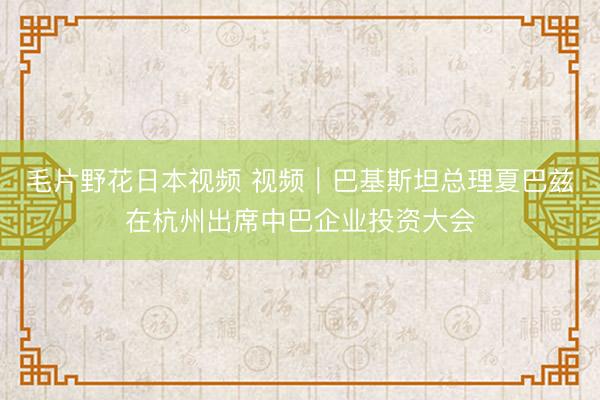 毛片野花日本视频 视频｜巴基斯坦总理夏巴兹在杭州出席中巴企业投资大会