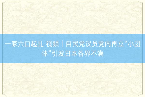 一家六口起乩 视频|自民党议员党内再立“小团体”引发日本各界不满
