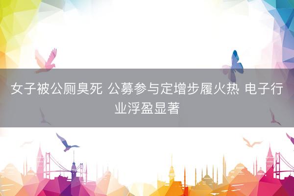 女子被公厕臭死 公募参与定增步履火热 电子行业浮盈显著