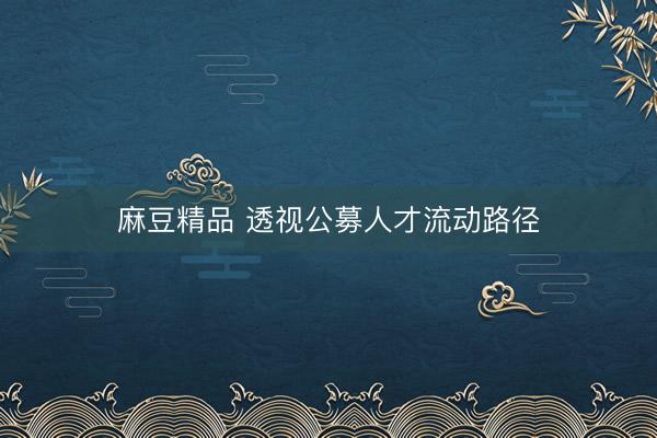麻豆精品 透视公募人才流动路径