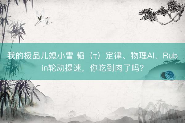 我的极品儿媳小雪 韬（τ）定律、物理AI、Rubin轮动提速，你吃到肉了吗？