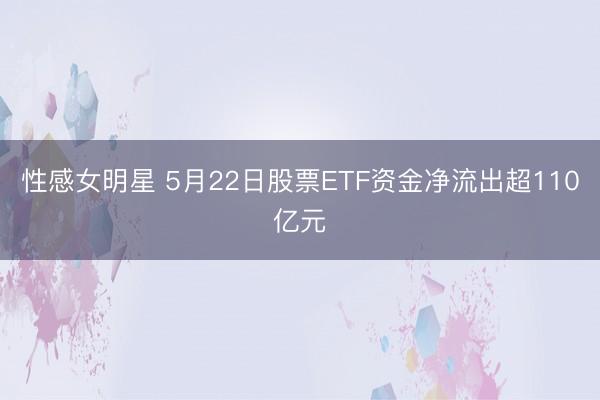 性感女明星 5月22日股票ETF资金净流出超110亿元