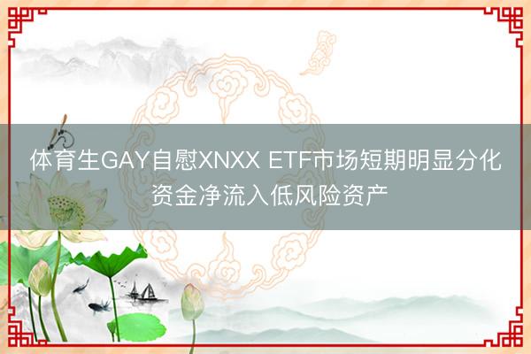 体育生GAY自慰XNXX ETF市场短期明显分化 资金净流入低风险资产