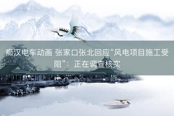 痴汉电车动画 张家口张北回应“风电项目施工受阻”：正在调查核实