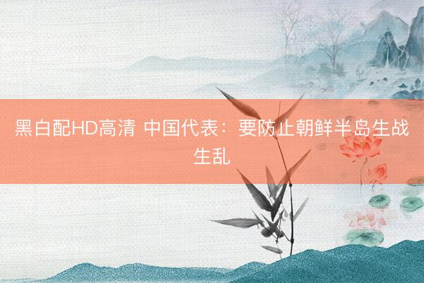 黑白配HD高清 中国代表：要防止朝鲜半岛生战生乱