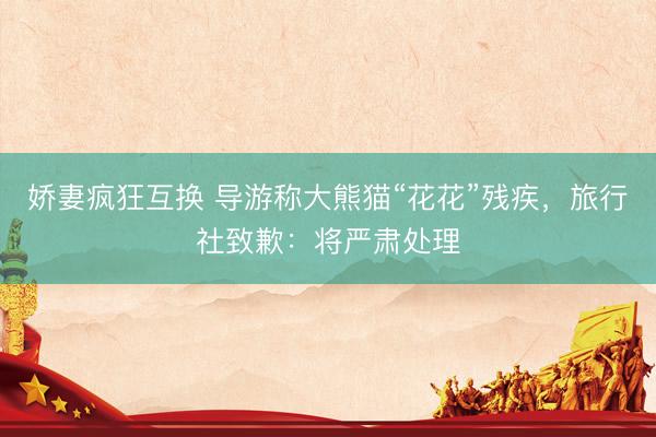 娇妻疯狂互换 导游称大熊猫“花花”残疾，旅行社致歉：将严肃处理