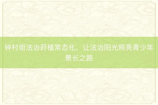 钟村街法治莳植常态化，让法治阳光照亮青少年景长之路