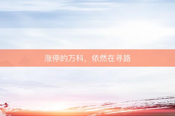 涨停的万科，依然在寻路