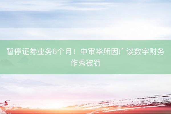 暂停证券业务6个月！中审华所因广谈数字财务作秀被罚