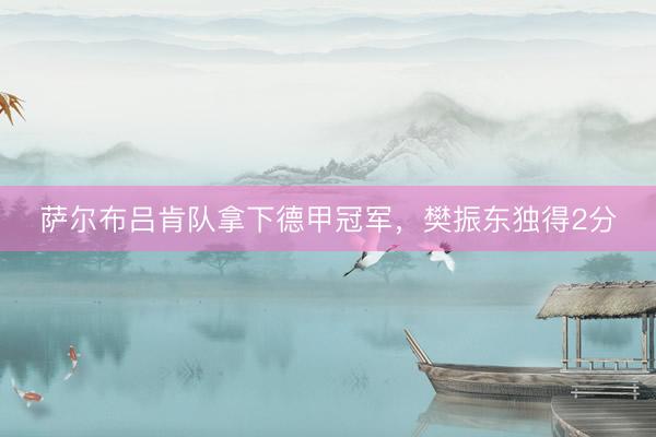 萨尔布吕肯队拿下德甲冠军，樊振东独得2分