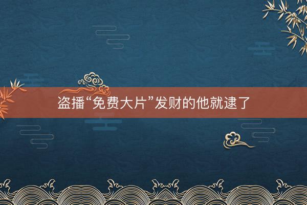 盗播“免费大片”发财的他就逮了
