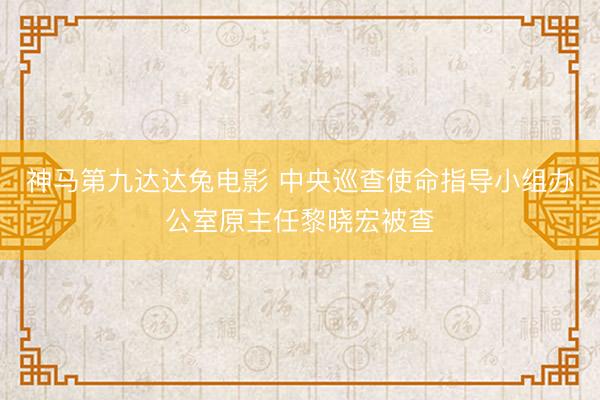 神马第九达达兔电影 中央巡查使命指导小组办公室原主任黎晓宏被查