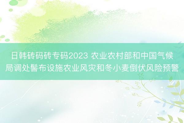 日韩砖码砖专码2023 农业农村部和中国气候局调处髻布设施农业风灾和冬小麦倒伏风险预警