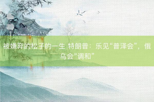 被嫌弃的松子的一生 特朗普：乐见“普泽会”，俄乌会“调和”