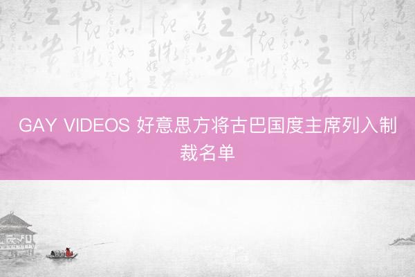 GAY VIDEOS 好意思方将古巴国度主席列入制裁名单