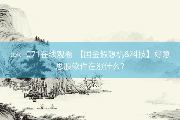 tek-071在线观看 【国金假想机&科技】好意思股软件在涨什么?