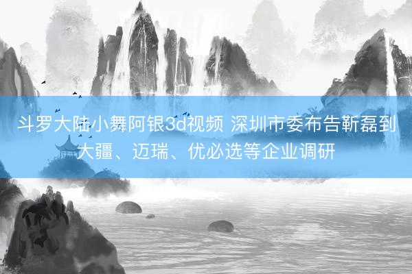 斗罗大陆小舞阿银3d视频 深圳市委布告靳磊到大疆、迈瑞、优必选等企业调研