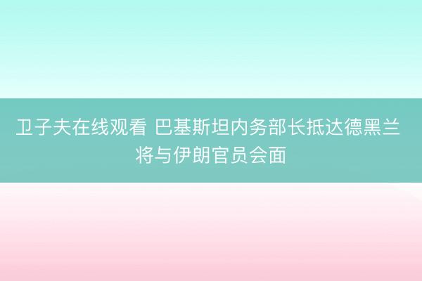 卫子夫在线观看 巴基斯坦内务部长抵达德黑兰 将与伊朗官员会面