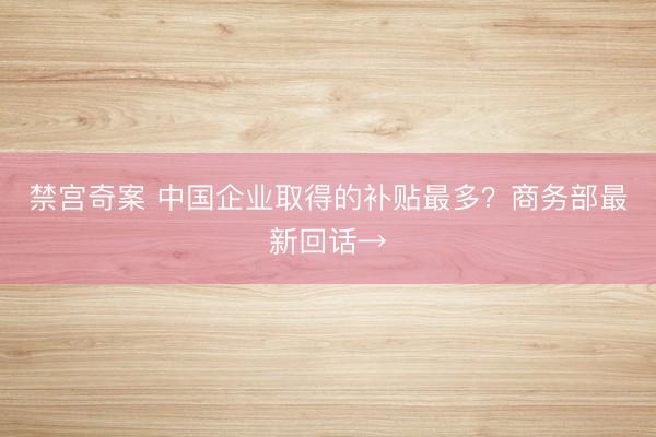 禁宫奇案 中国企业取得的补贴最多？商务部最新回话→