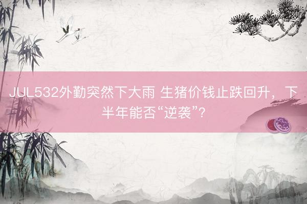 JUL532外勤突然下大雨 生猪价钱止跌回升，下半年能否“逆袭”？