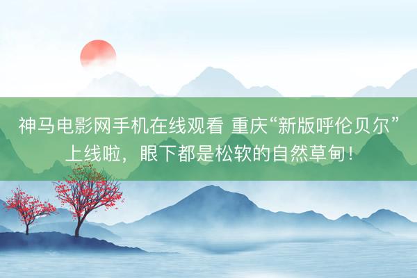 神马电影网手机在线观看 重庆“新版呼伦贝尔”上线啦，眼下都是松软的自然草甸！