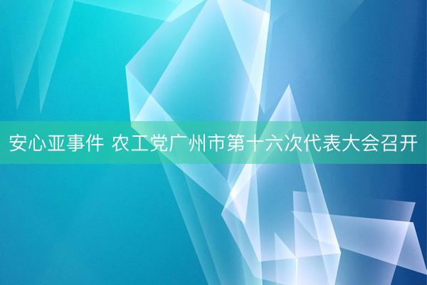 安心亚事件 农工党广州市第十六次代表大会召开