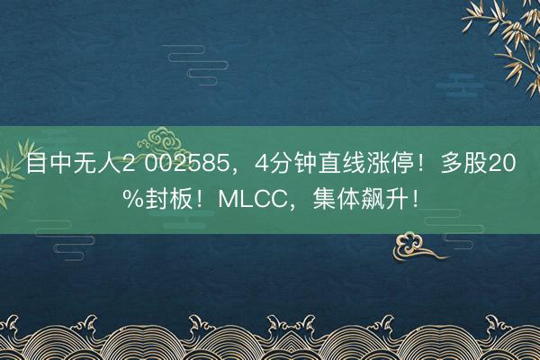 目中无人2 002585，4分钟直线涨停！多股20%封板！MLCC，集体飙升！