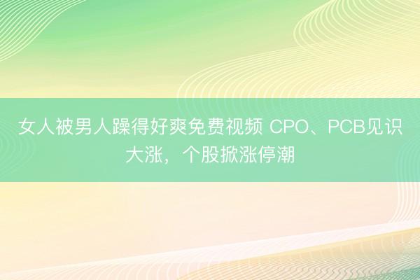 女人被男人躁得好爽免费视频 CPO、PCB见识大涨，个股掀涨停潮
