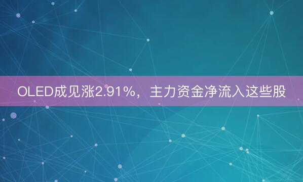 OLED成见涨2.91%，主力资金净流入这些股
