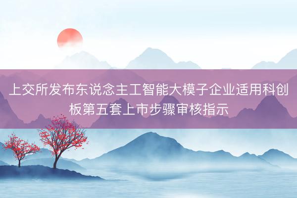 上交所发布东说念主工智能大模子企业适用科创板第五套上市步骤审核指示