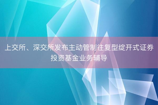 上交所、深交所发布主动管制往复型绽开式证券投资基金业务辅导