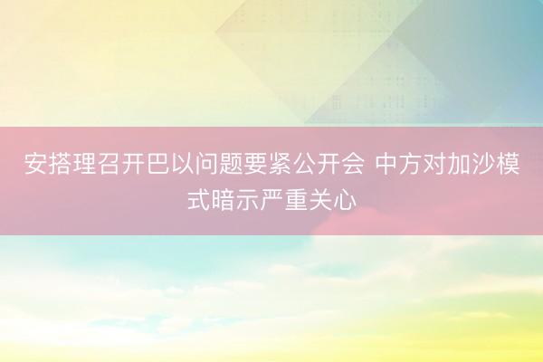 安搭理召开巴以问题要紧公开会 中方对加沙模式暗示严重关心