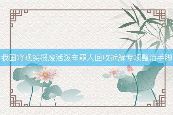 我国将现实报废活泼车罪人回收拆解专项整治手脚